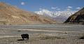 Pin Valley (7)